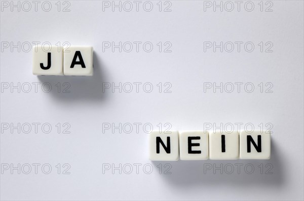 Dice with yes and no lettering