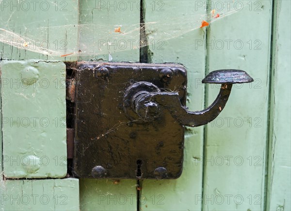 Old door lock with metal bag handle on green wooden door