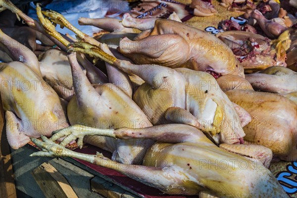 Market stand with poultry