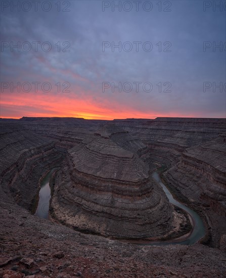 Goosenecks at sunset