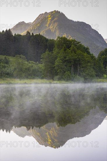 Moor pond with early fog