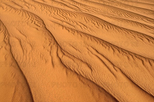 Sand ripples