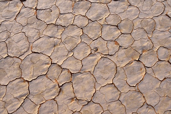 Broken surface of a salt and clay pan or playa