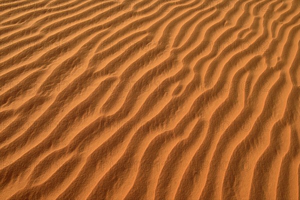 Sand ripples