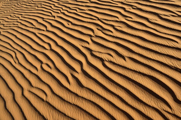 Sand ripples