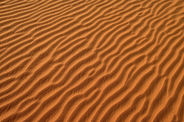 Sand ripples