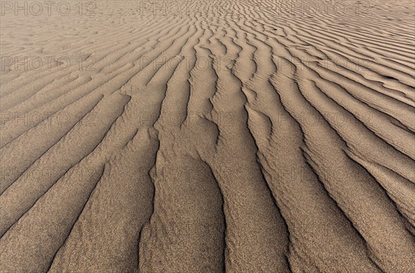 Structures in the sand