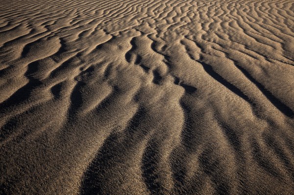 Structures in the sand