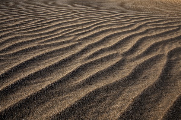 Structures in the sand