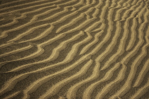 Wavy structures in the sand