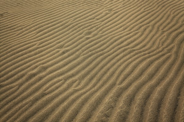 Wavy structures in the sand