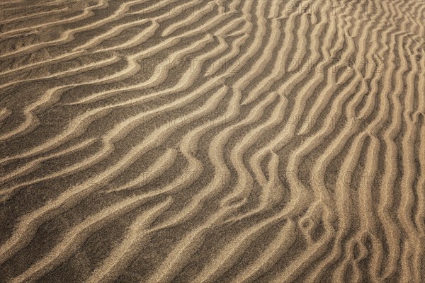 Structures in the sand