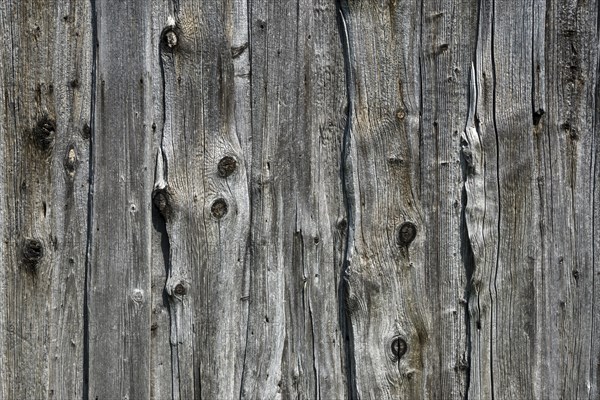 Old weathered wooden planks