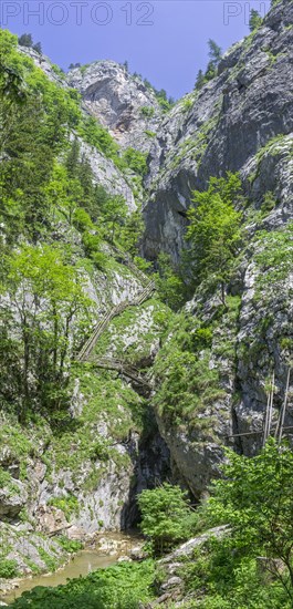 Beginning of the Barenschutzklamm