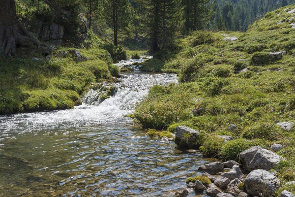 Mountain stream