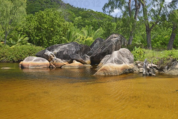 Brackish lagoon on the beach of Anse Lazio