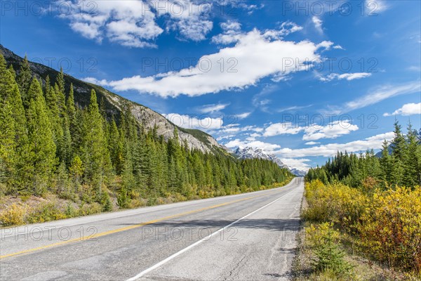 Highway Icefields Parkway