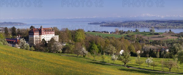 View of Spetzgart Castle over Lake Constance to the Alps