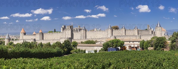 La Cité de Carcassonne