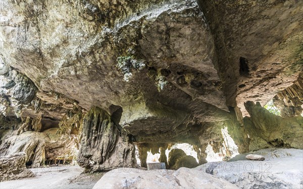 Stalactite cave in the jungle