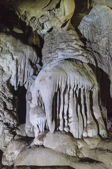 Stalagmite in the shape of an elephant