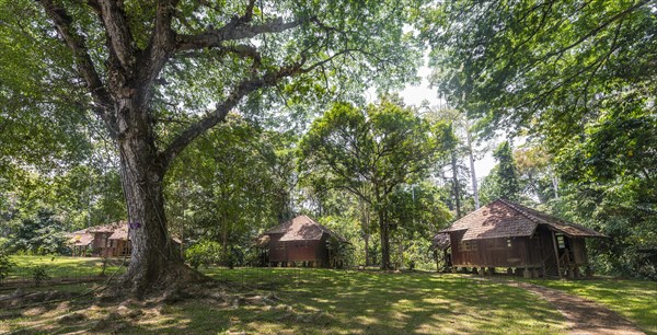 Wooden huts in the jungle