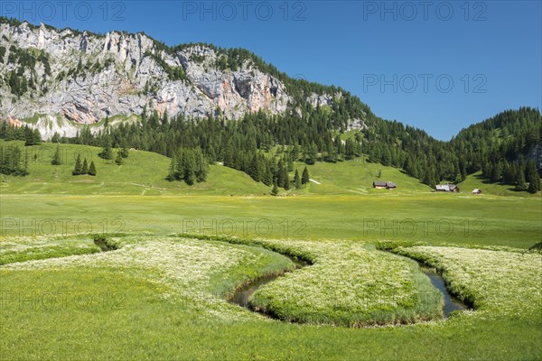 Wurzeralm