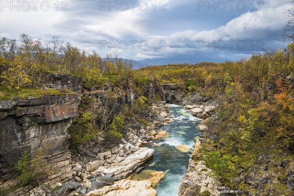 Autumn in Abisko canyon