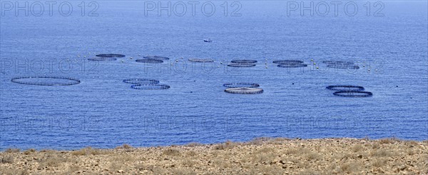 Coast of Playa del Gozo with fish farms