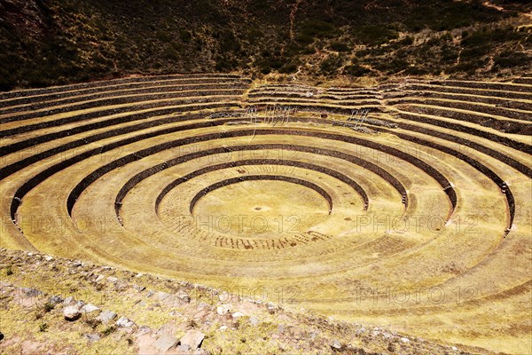 Inca terraces in the Sacred Valley