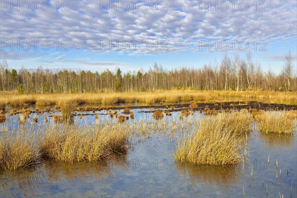 Waterlogged peat mining site