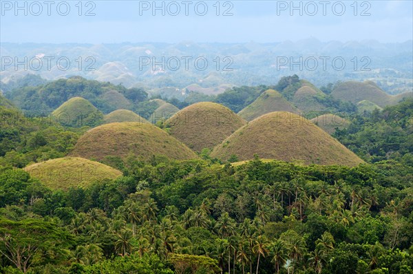 Chocolate Hills in Carmen