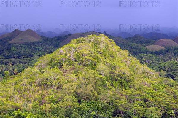 Chocolate Hills in Carmen