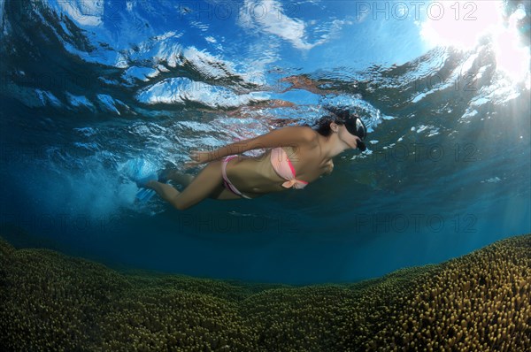 Young woman floating on the surface of the water over a coral reef