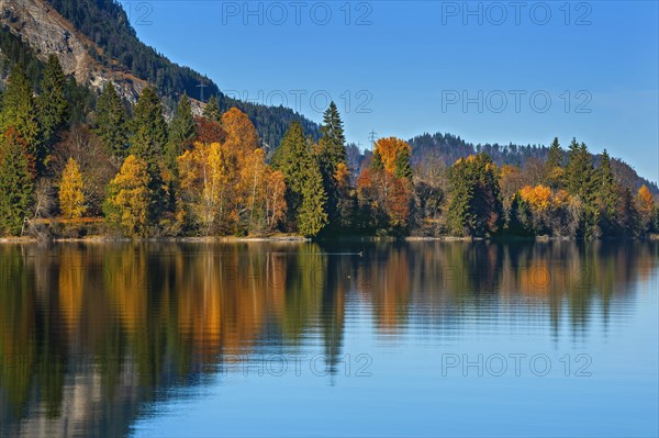 Colorful autumn landscape