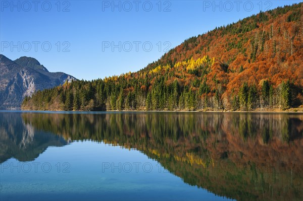 Autumn landscape