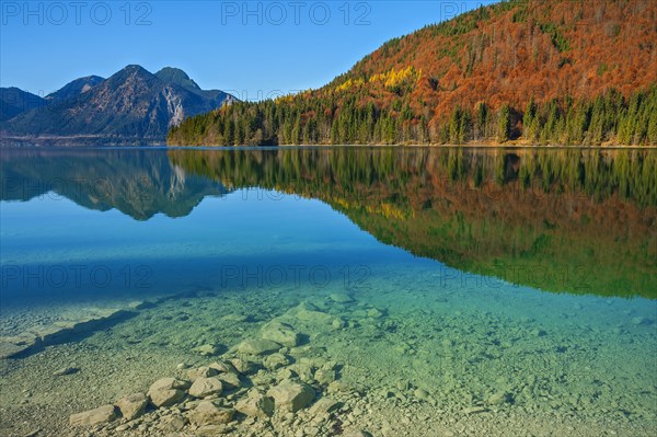 Autumn landscape