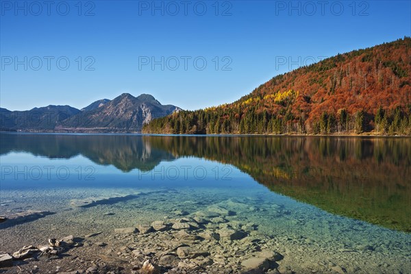 Autumn landscape