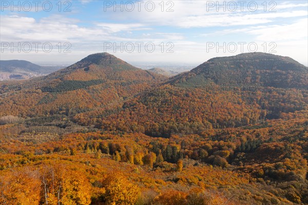 View of the Palatinate Forest from Trifels Castle