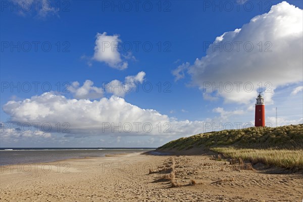 Lighthouse Eierland with Dunes