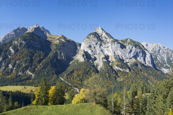 View from the Hasentalalm pasture on Gamsjoch and Rosskopf peak