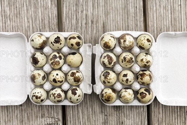 Quail eggs