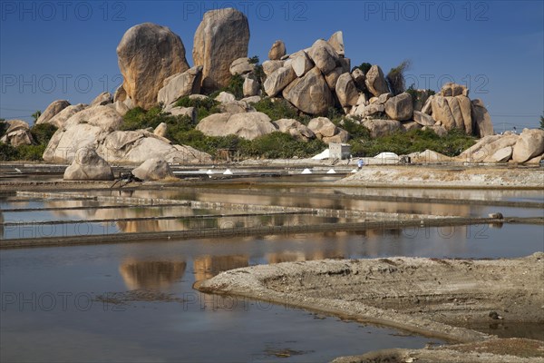 Salt fields for salt production