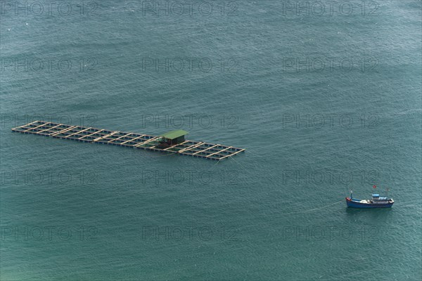 Fish farming