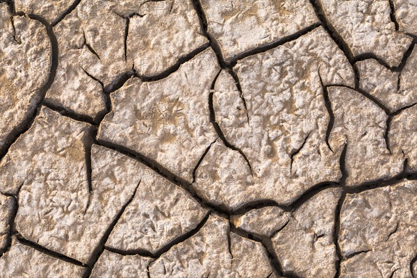 Cracked floodplain mud