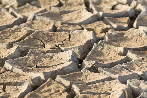 Cracked floodplain mud