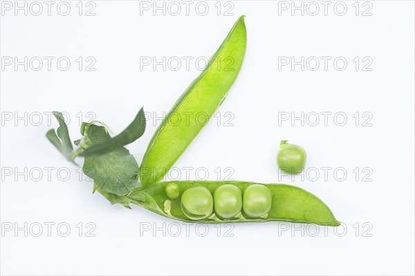 Fresh green peas (Pisum sativum)