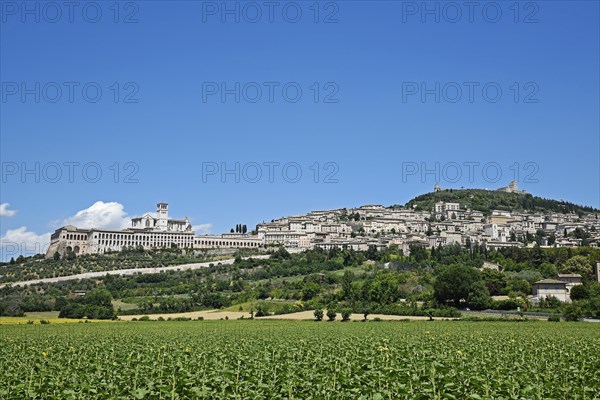 Cityscape with the Basilica of San Francesco