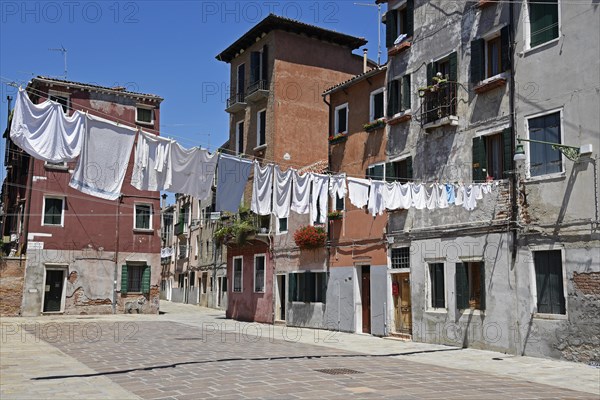 Laundry drying on clothes lines across the street