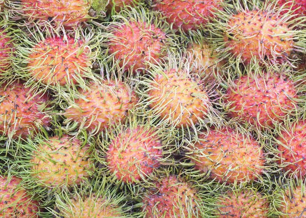 Rambutans (Nephelium lappaceum)